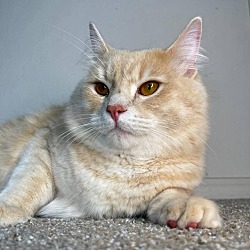Photo of Bert