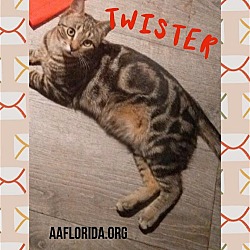 Photo of Twister
