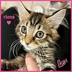 Thumbnail photo of Fiona #2