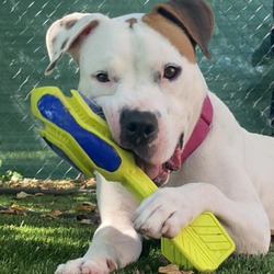 Photo of Debo