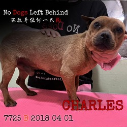 Thumbnail photo of Charles 7725 #1