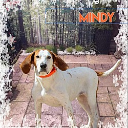 Thumbnail photo of Mindy #3