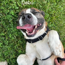 Photo of Debo