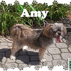 Thumbnail photo of Amy #1