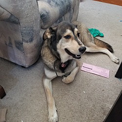 Photo of Valkyrie