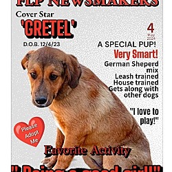 Thumbnail photo of Gretel #2