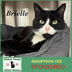 Thumbnail photo of Brielle #1