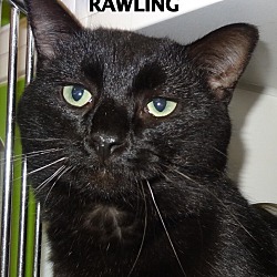 Thumbnail photo of Rawling-shiny! #4