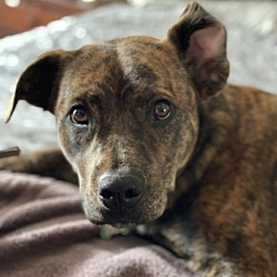 Photo of Jolene