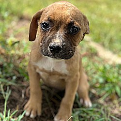 Photo of Quazzy