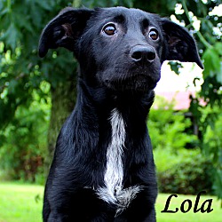 Thumbnail photo of Lola ~ meet me! #1