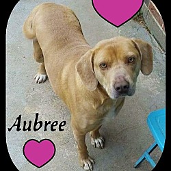 Thumbnail photo of Aubree #2
