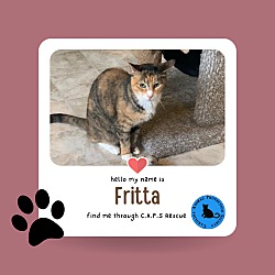 Photo of Fritta
