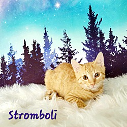 Thumbnail photo of Stromboli #4