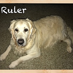 Thumbnail photo of Ruler (Deceased) #4