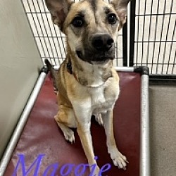 Photo of Maggie 122145