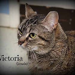 Thumbnail photo of Little Queen Victoria #3