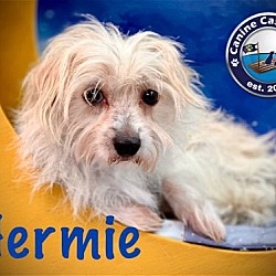 Thumbnail photo of Hermie #2