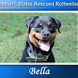 Thumbnail photo of Bella #1