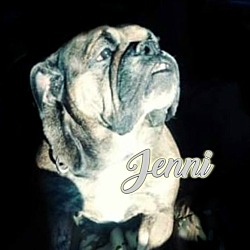 unbreakable bullies rescue