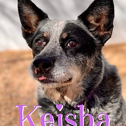 Thumbnail photo of Keisha #1
