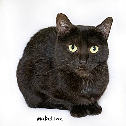 Photo of Mabelline