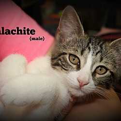 Thumbnail photo of Malachite #1