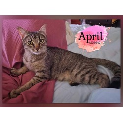 Photo of APRIL