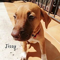 Thumbnail photo of Jissy #3