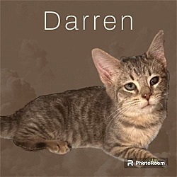 Thumbnail photo of Darren #2