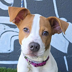 Malbie *foster needed*
