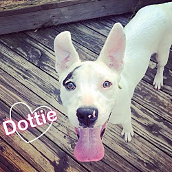 Photo of Dottie