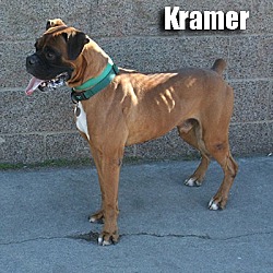 Thumbnail photo of Kramer #2