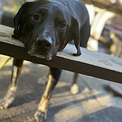 Photo of Rudy