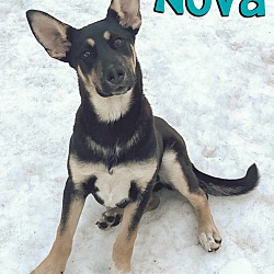 Thumbnail photo of Nova #1