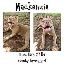 Thumbnail photo of Mackenzie #1