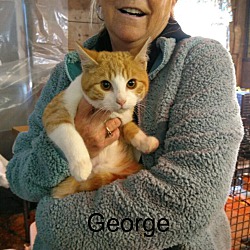 Photo of George