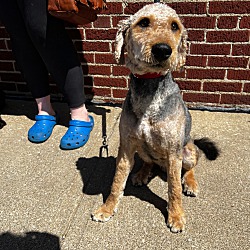 Photo of Argus