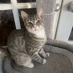 Photo of Beau