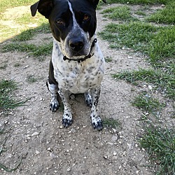 Photo of Zoee