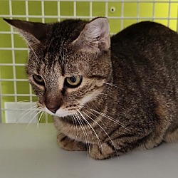 Photo of Ethel 8548