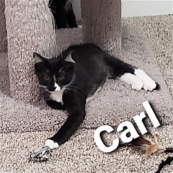 Photo of Carl