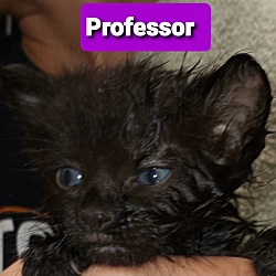 Thumbnail photo of Professor #3