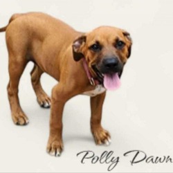 Thumbnail photo of Polly Dawn #2