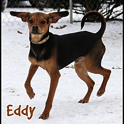 Thumbnail photo of Eddy #2
