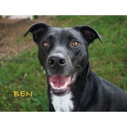 Thumbnail photo of Ben #1