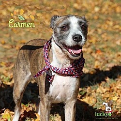 Thumbnail photo of Carmen #2