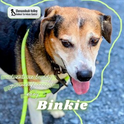 Thumbnail photo of Binkie #1