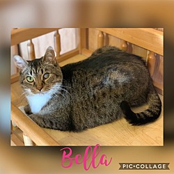 Photo of Bella 2