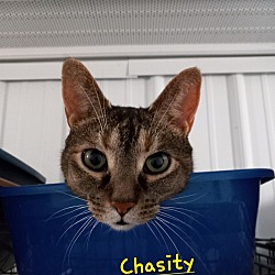 Photo of Chasity